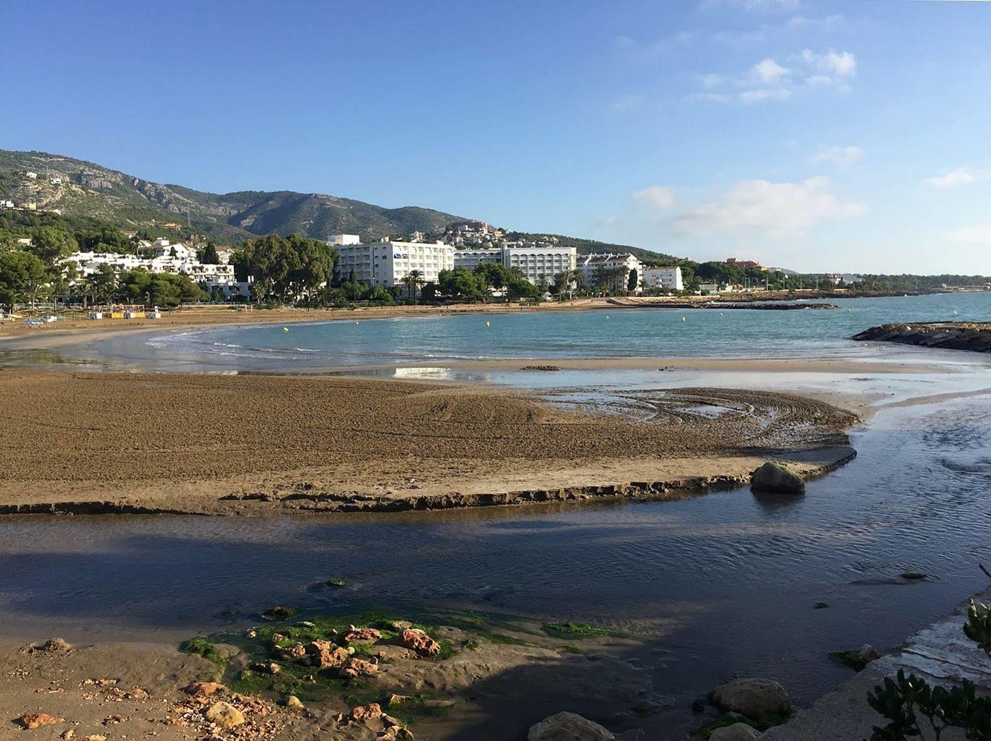 Apartamentos Palma Blanca 3000 阿尔考斯布里 外观 照片